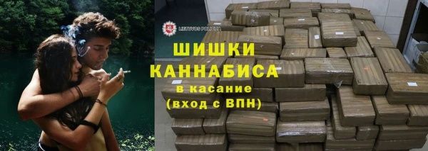 spice Ельня