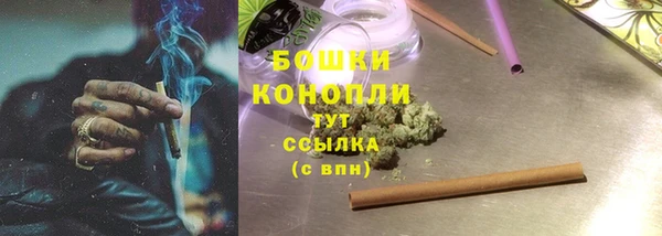 mdpv Елабуга