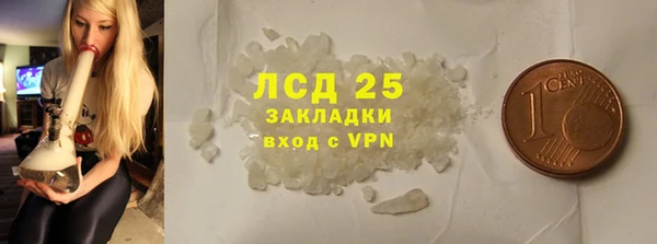 spice Ельня