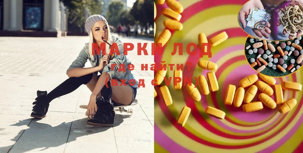 spice Ельня