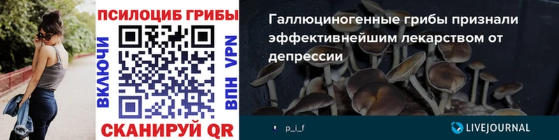 мега вход  Новошахтинск  Псилоцибиновые грибы Cubensis 